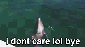 I Don't Care LOL Bye Dolphin